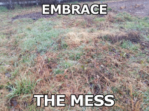3 Benefits Of A Messy Garden – Father's Earth Gear